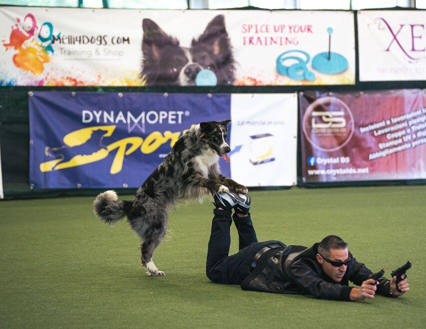Dog dance, i magnifici sei  ai campionati europei in Olanda 