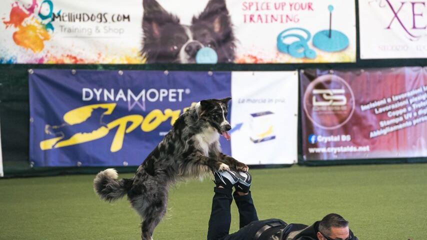 Dog dance, i magnifici sei  ai campionati europei in Olanda 