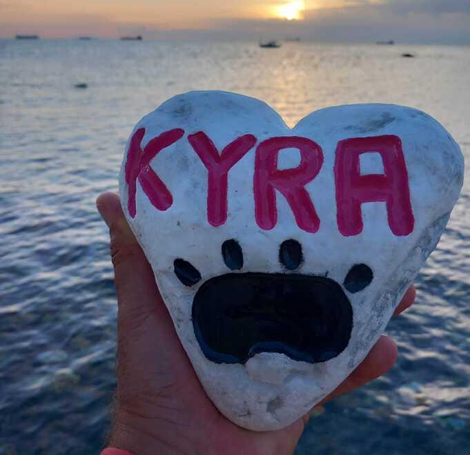 Rubato ancora il sasso della canina Kyra dal “Mare dei ricordi”