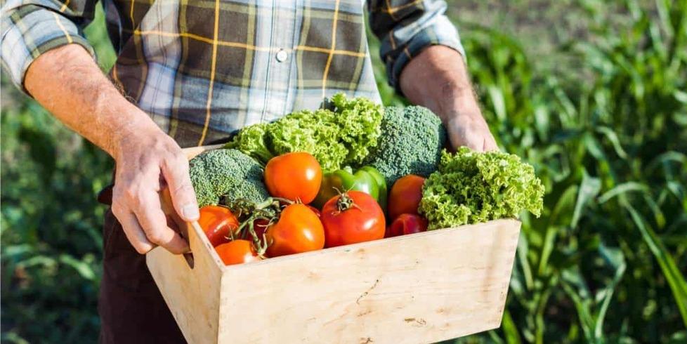 Dalla Val di Cecina in tavola 