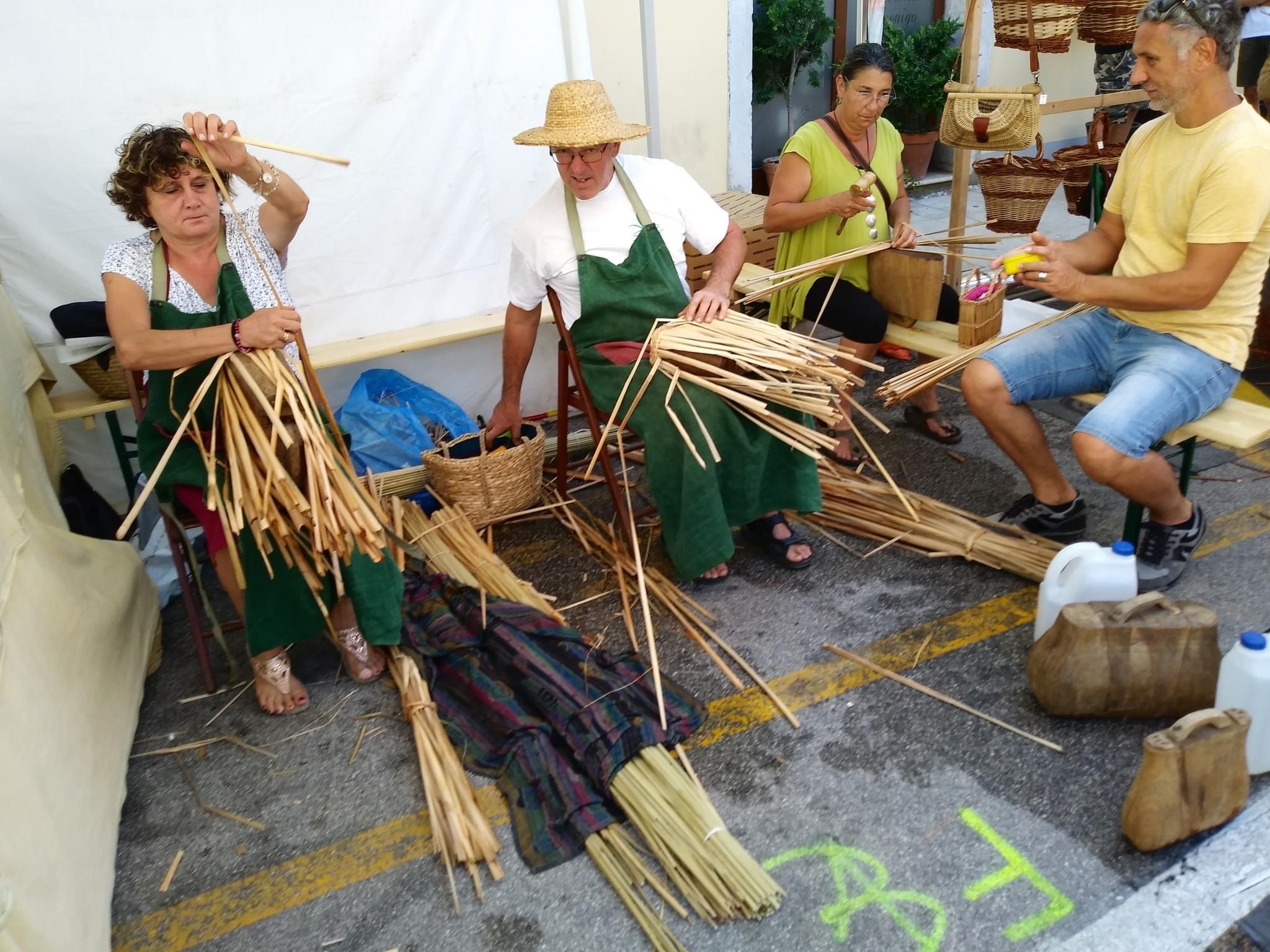 Piante e animali perduti