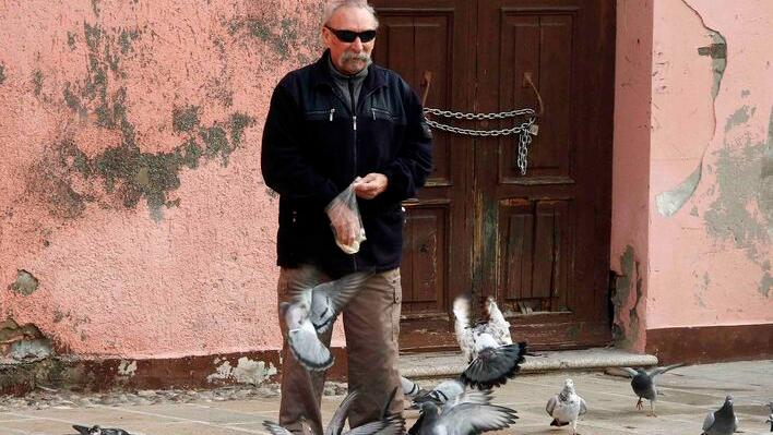 Comacchio, mais anticoncezionale per i piccioni