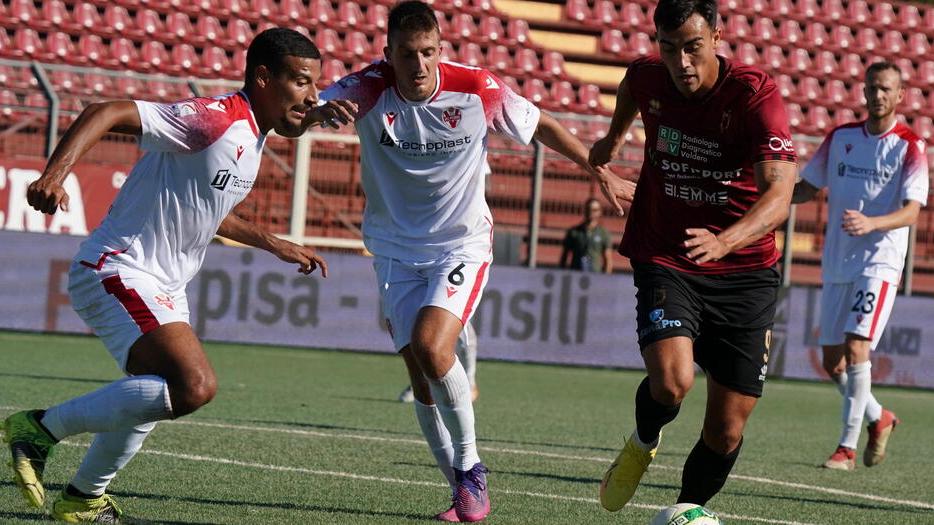Un momento della gara tra Pontedera e Vis Pesaro (foto Franco Silvi)