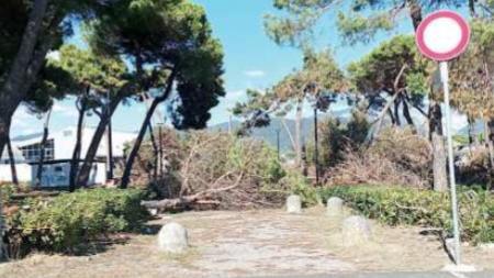 Il cittadino multato documenta con foto che l’accesso ai bagni pubblici non ha segnali di divieto