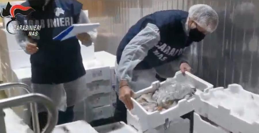 Duecento chili di cibo avariato e pieno di insetti trovati nel seminterrato di un ristorante cagliaritano