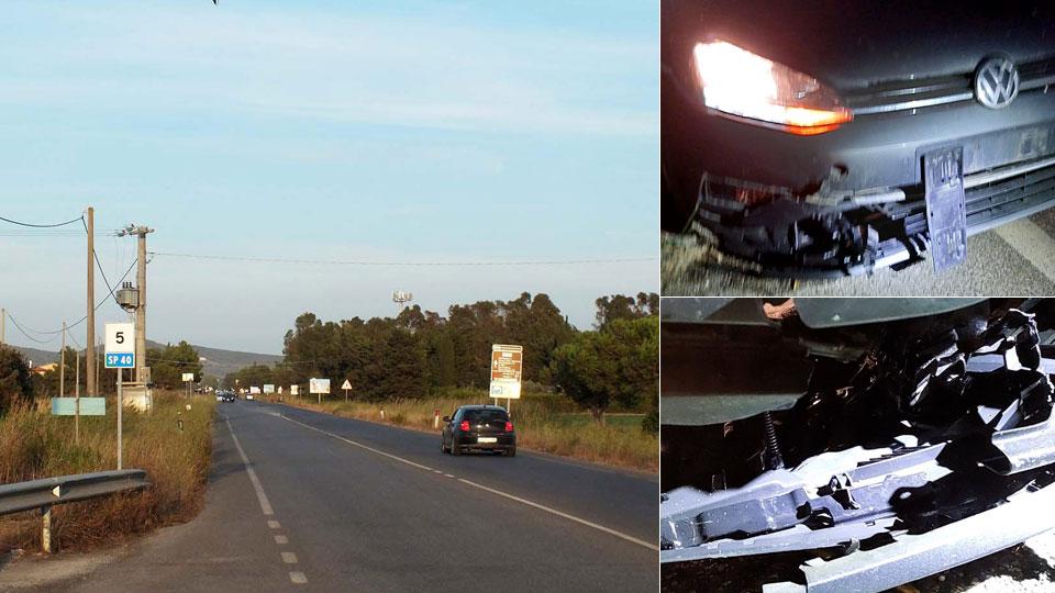 Con l’auto contro un gruppo di cinghiali: «Così la Geodetica è troppo pericolosa»