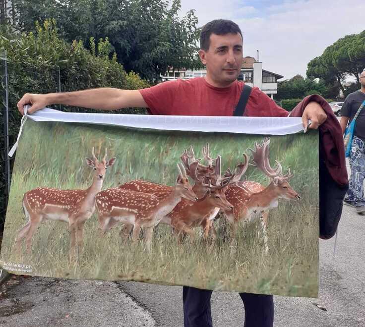 A Lido Volano la rabbia animalista: «Giù le mani e i fucili dai daini»