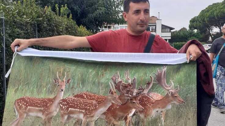 A Lido Volano la rabbia animalista: «Giù le mani e i fucili dai daini»