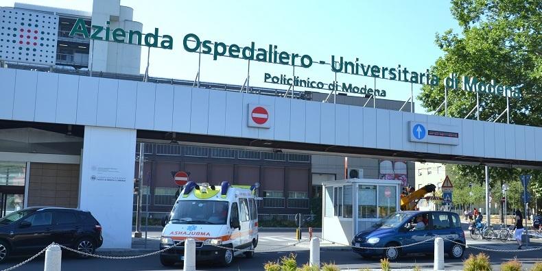 Raccoglie funghi e li mangia Ricoverato per intossicazione 