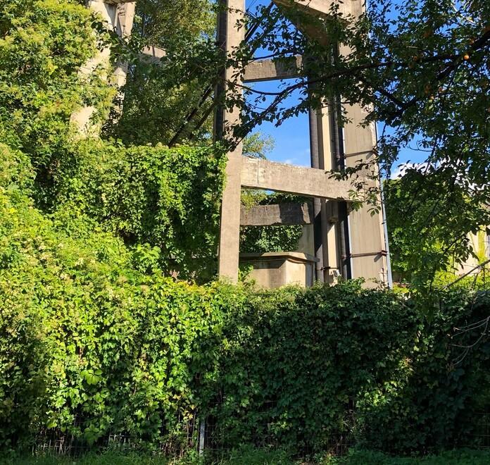 La vegetazione incolta che avvolge la cisterna da tempo in abbandono