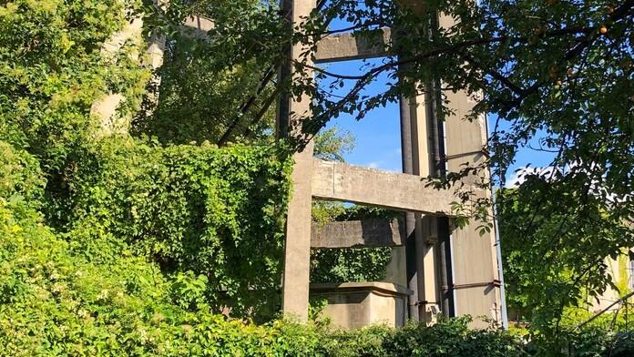 La vegetazione incolta che avvolge la cisterna da tempo in abbandono