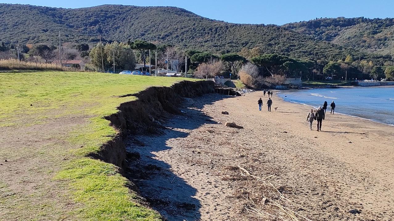 Baratti riemerge dopo anni di oblio il piano contro l’erosione costiera