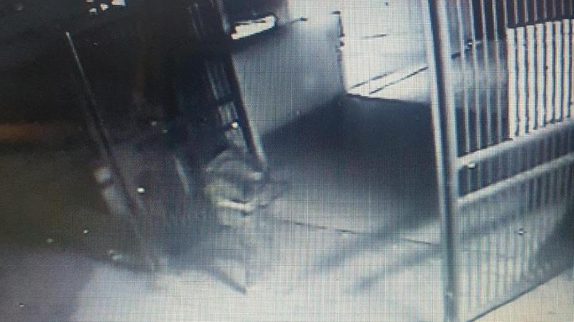 Il ladro in azione ripreso dalla telecamera di Anpana