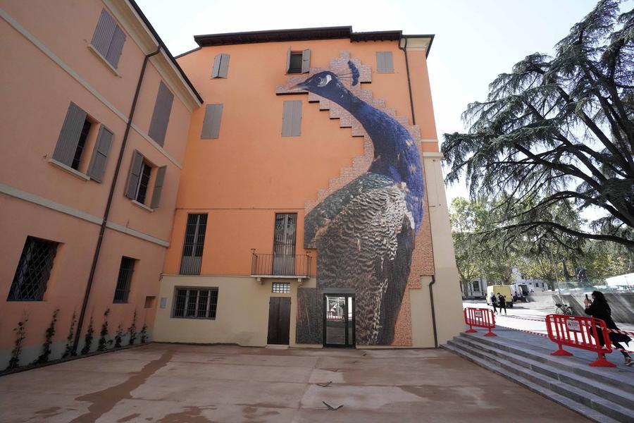 Curiosa Meravigliosa, 12mila scatti per il grande pavone di Fontcuberta