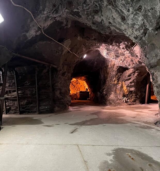 L'astrofisica: «Nella scelta per l’Einstein telescope conterà l’appoggio dei governi» 