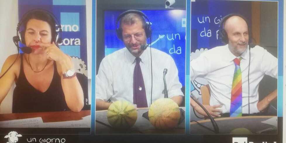 Romano in radiovisione