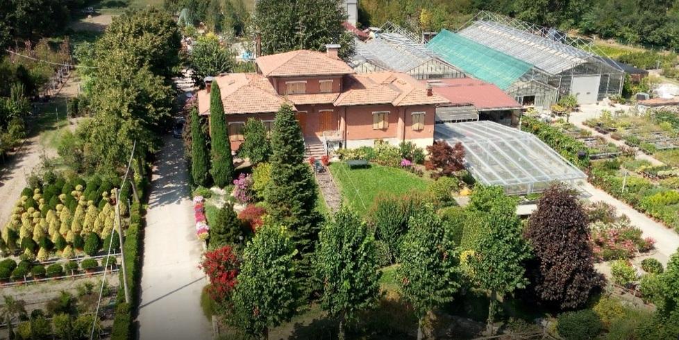 Vivai Marchetti, a Maranello da mezzo secolo un mondo verde