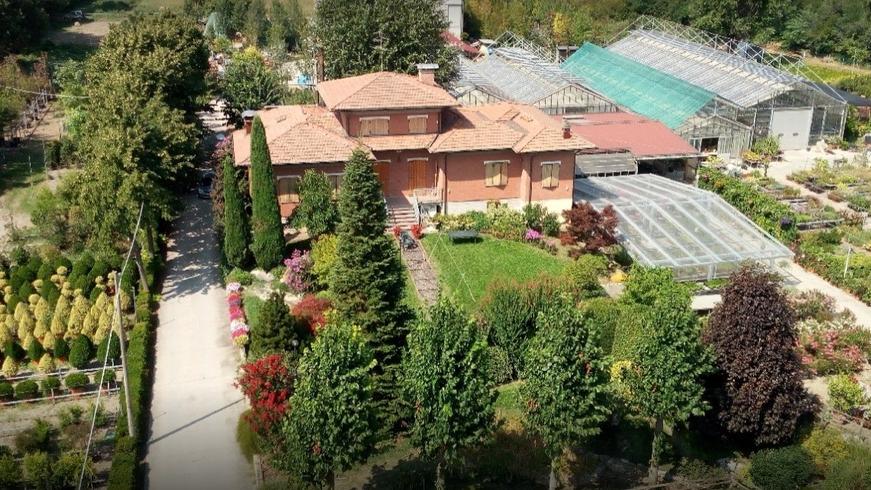 Vivai Marchetti, a Maranello da mezzo secolo un mondo verde