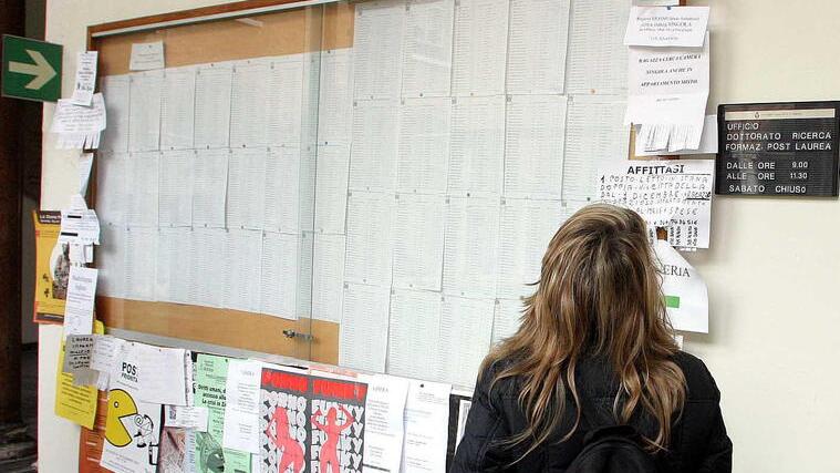 Ferrara, affitti a studenti: Unife prova il web. Le agenzie: «Molti no agli stranieri»