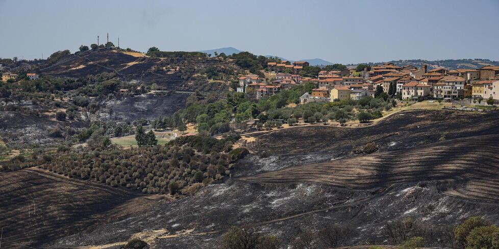 Cinigiano riparte dopo il rogo: 800 ettari andati in fumo