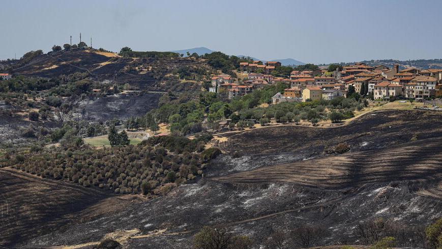 Cinigiano riparte dopo il rogo: 800 ettari andati in fumo