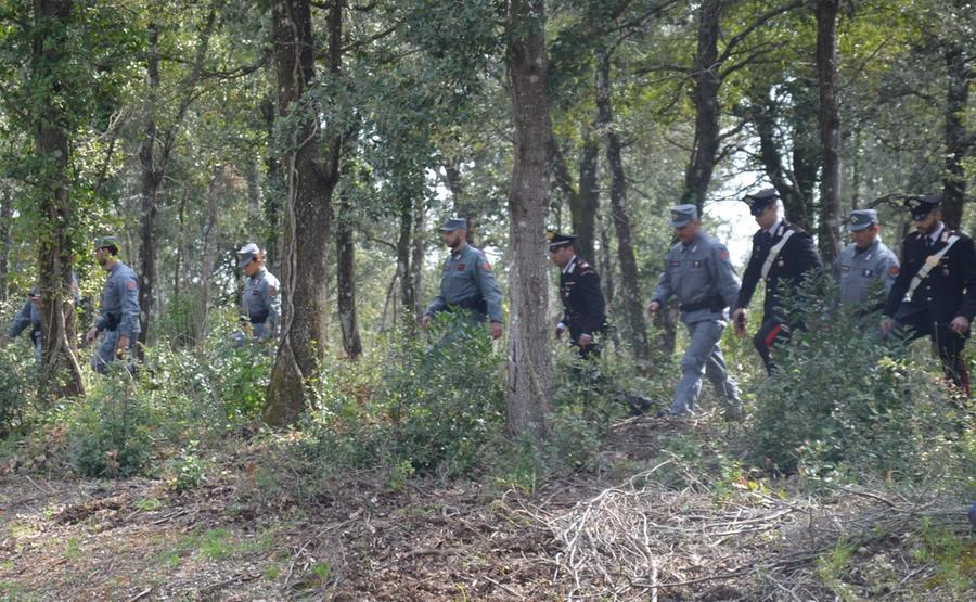 Escursionista si perde a Is Cannoneris: la salvano i forestali e i carabinieri