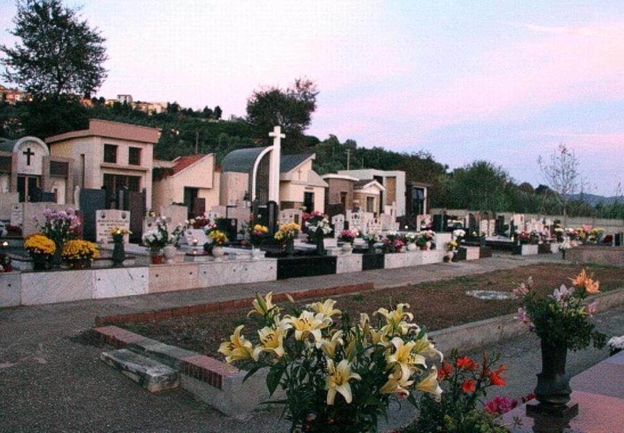 
	Il cimitero di Rosignano

