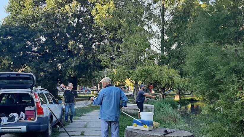 Modena. Siluri al parco Amendola. Ecco gli esperti per pescarli