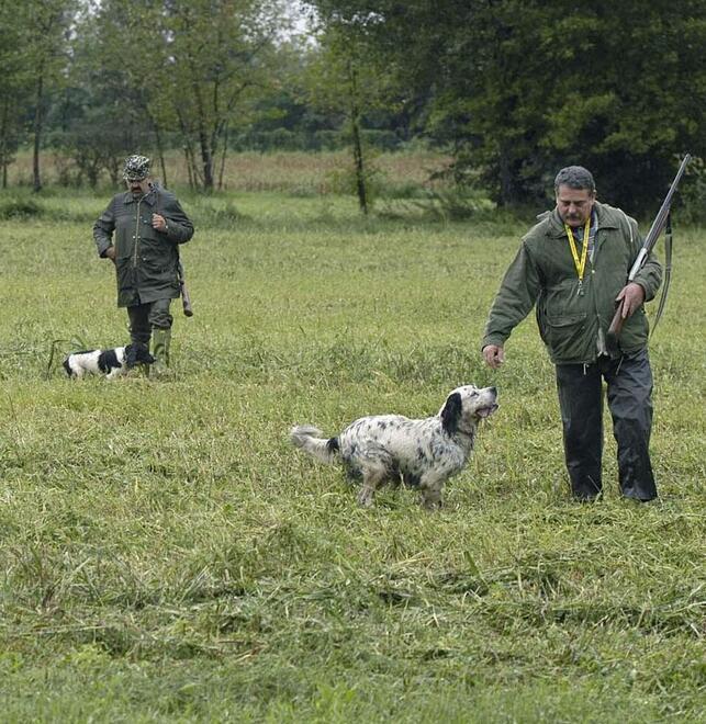 Lama Mocogno I cacciatori ribelli siglano una tregua Ritirati i registri, si fa attività regolare 