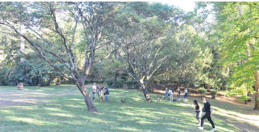 
	Nella foto, il Parco di Villa Strozzi dove, nel fine settimana, vengono organizzate feste abusive

