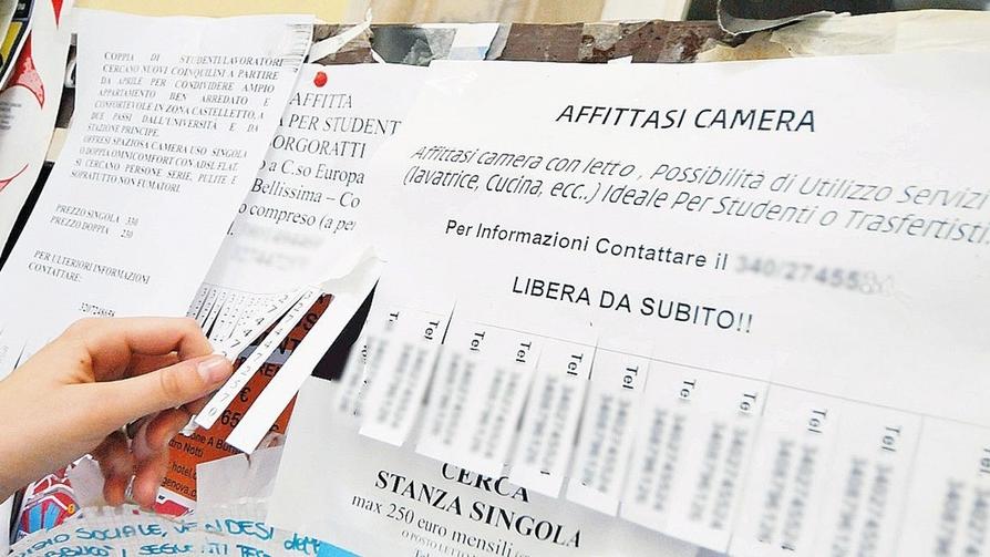 Una bacheca di annunci: gli studenti universitari, a causa del caro prezzi, sono tornati ai metodi tradiziona