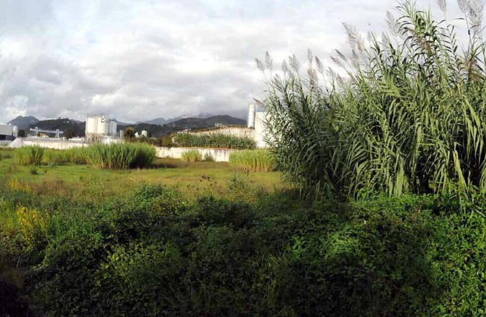 Nella foto l’area ex Farmoplant tra i simboli della mancata bonifica