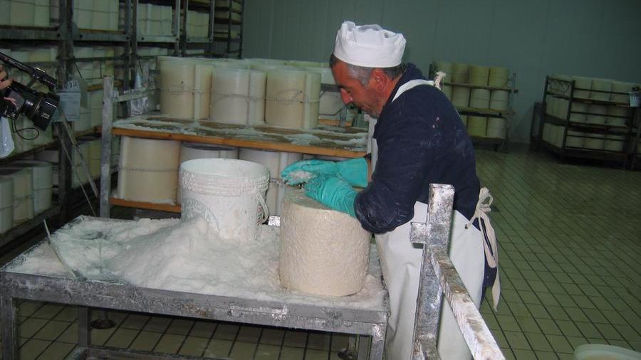 visita delegazione giornalisti cinesi al caseificio di thiesi lat