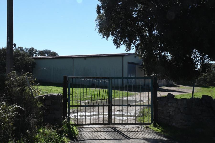 Allevatore ucciso a Orotelli, aperto il processo contro il nipote