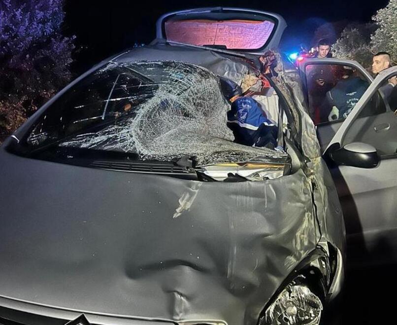 Con l’auto contro un cavallo, due feriti sulla 129 a Sindia 