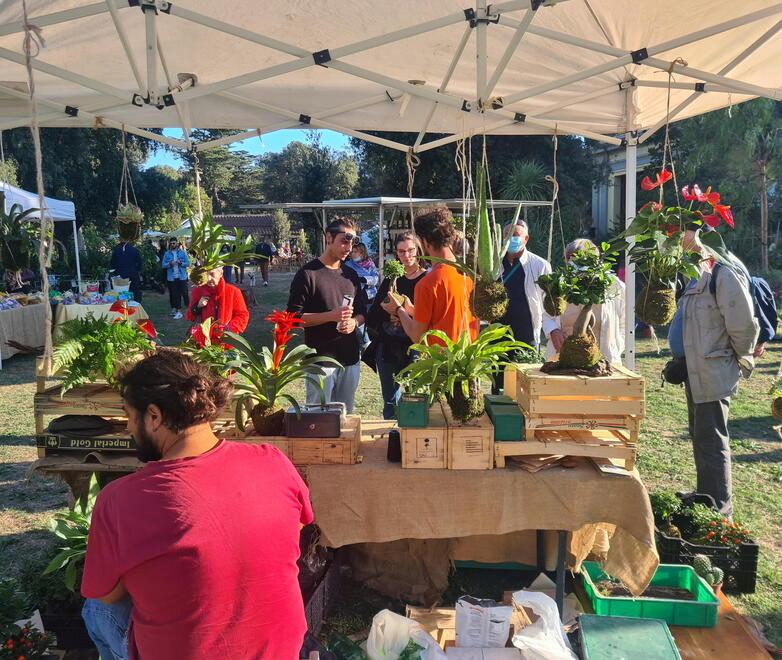 Villa Mimbelli capitale del verde. A Livorno torna Harborea, giardino infinito 