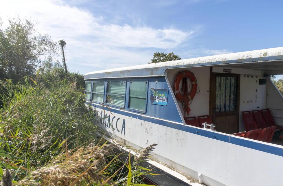 Il barcone Burlamacca ora è ancorato in un angolo nascosto del lago di Massaciuccoli
