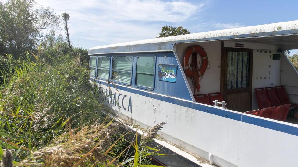 Il barcone Burlamacca ora è ancorato in un angolo nascosto del lago di Massaciuccoli