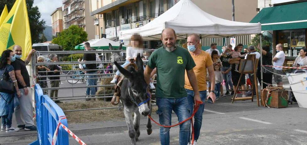 In alto un’immagine della fattoria urbana in occasione della fiera di San Francesco (foto archivio)