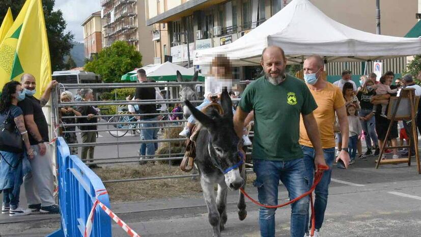 In alto un’immagine della fattoria urbana in occasione della fiera di San Francesco (foto archivio)