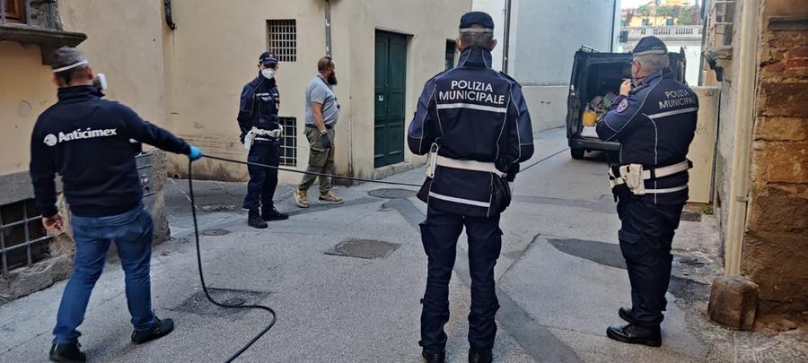 
	La disinfestazione in centro a Lucca (Foto Matteo Bini)

