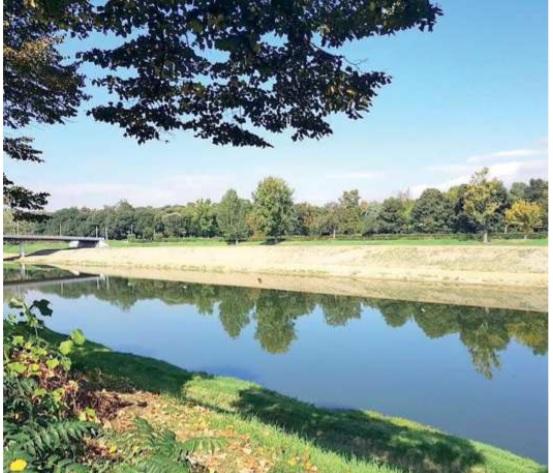 Fiori e piante aromatiche: l’Arno diventa un frutteto