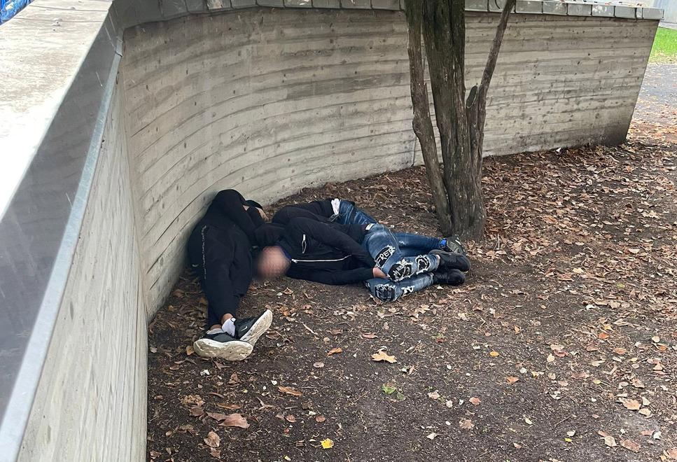 A Modena Est: «Spacciatori dormono nel cortile a scuola, dopo averli svegliati ci hanno aggredito» 