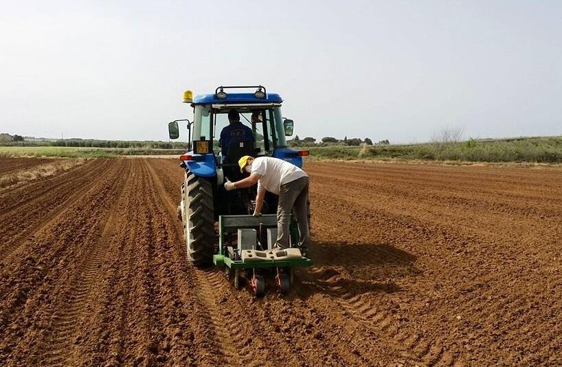 L’avventura agricola di Marco e Stefania: a Venturina per coltivare e vendere noccioline
