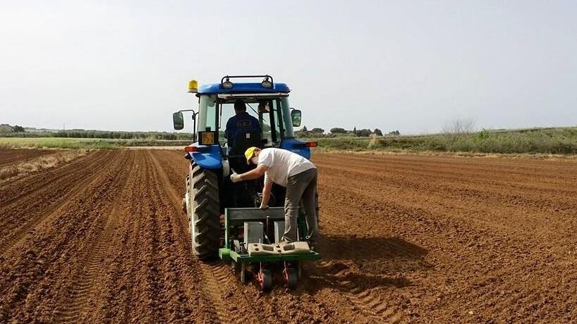 L’avventura agricola di Marco e Stefania: a Venturina per coltivare e vendere noccioline