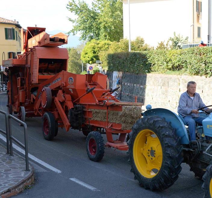 Gli orti dei record mettono in mostra le maxi zucche
