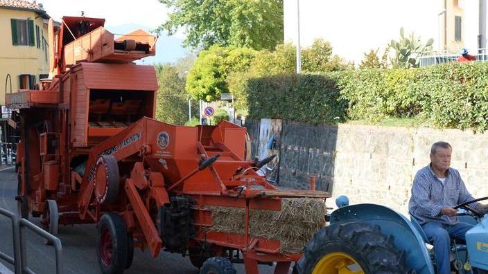 Gli orti dei record mettono in mostra le maxi zucche