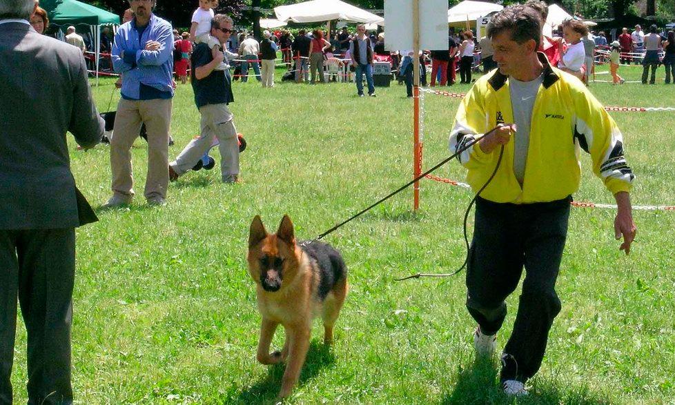 Cani di razza in concorso a Calcinaia 