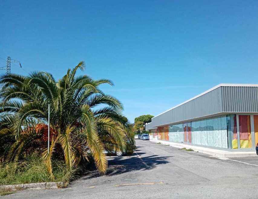 Massa, un nuovo magazzino cinese apre i battenti in zona industriale 