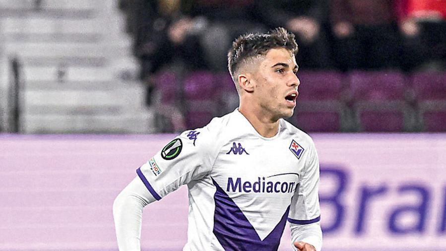Viola, la meglio gioventù